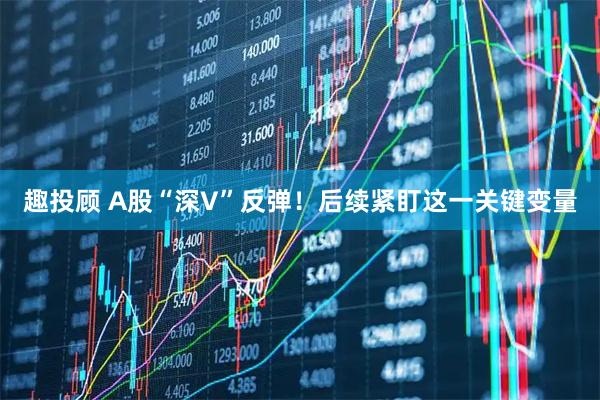 趣投顾 A股“深V”反弹！后续紧盯这一关键变量