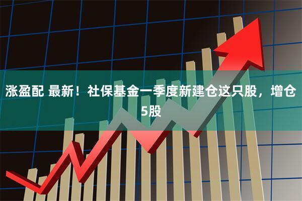 涨盈配 最新！社保基金一季度新建仓这只股，增仓5股