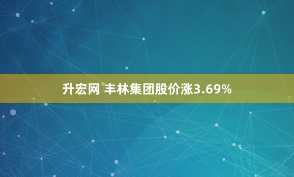 升宏网 丰林集团股价涨3.69%