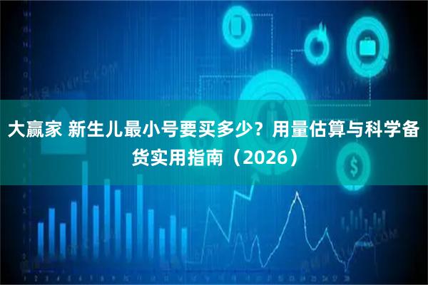 大赢家 新生儿最小号要买多少？用量估算与科学备货实用指南（2026）