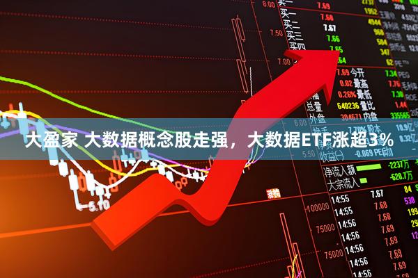 大盈家 大数据概念股走强，大数据ETF涨超3%