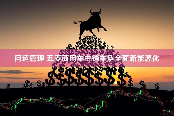 问道管理 五菱商用车主销车型全面新能源化
