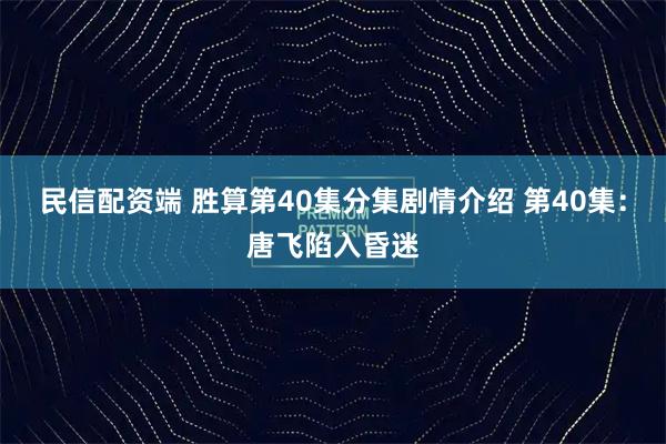 民信配资端 胜算第40集分集剧情介绍 第40集:唐飞陷入昏迷