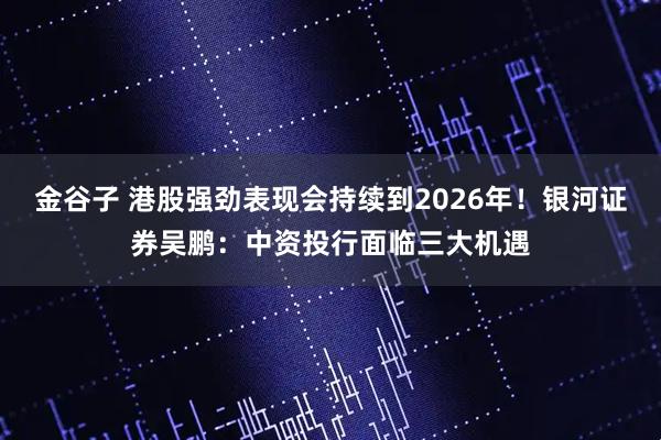 金谷子 港股强劲表现会持续到2026年！银河证券吴鹏：中资投行面临三大机遇