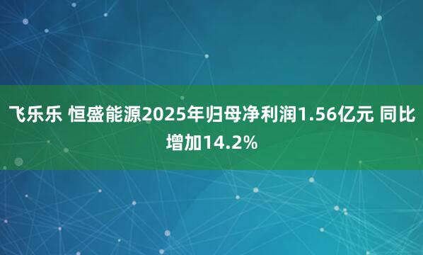 飞乐乐 恒盛能源2025年归母净利润1.56亿元 同比增加14.2%