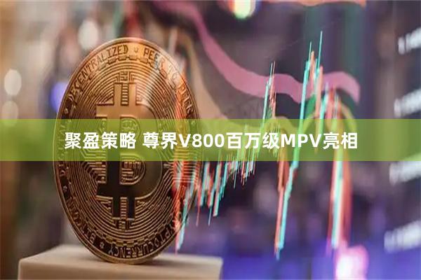 聚盈策略 尊界V800百万级MPV亮相