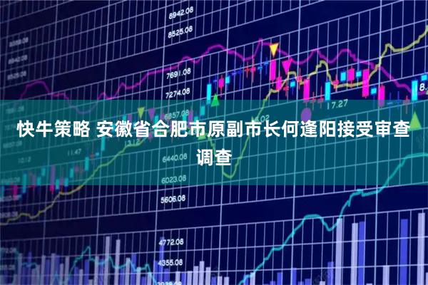 快牛策略 安徽省合肥市原副市长何逢阳接受审查调查