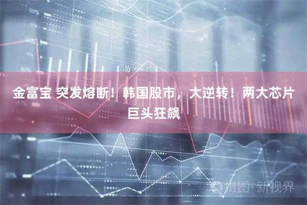 金富宝 突发熔断！韩国股市，大逆转！两大芯片巨头狂飙
