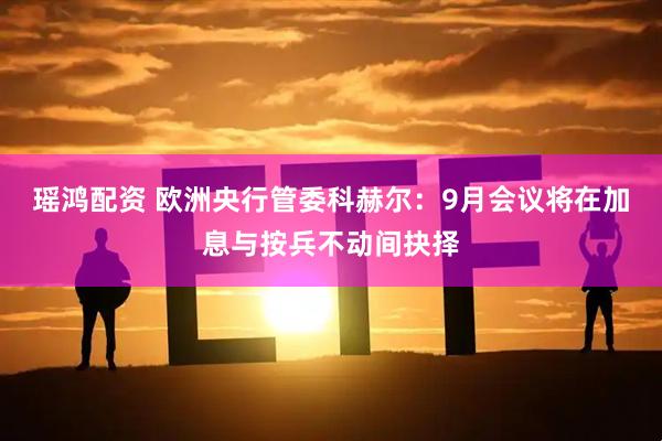 瑶鸿配资 欧洲央行管委科赫尔：9月会议将在加息与按兵不动间抉择