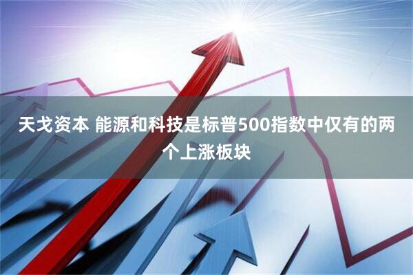 天戈资本 能源和科技是标普500指数中仅有的两个上涨板块